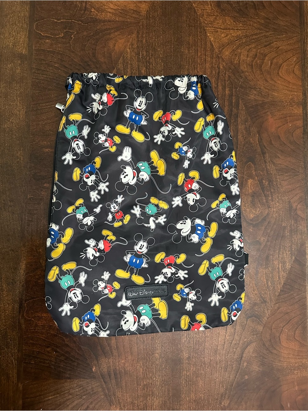 Walt Disney World Cinch Back Pack Sack Bag